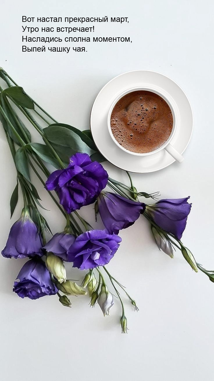 Вот настал прекрасный март, утро нас встречает!