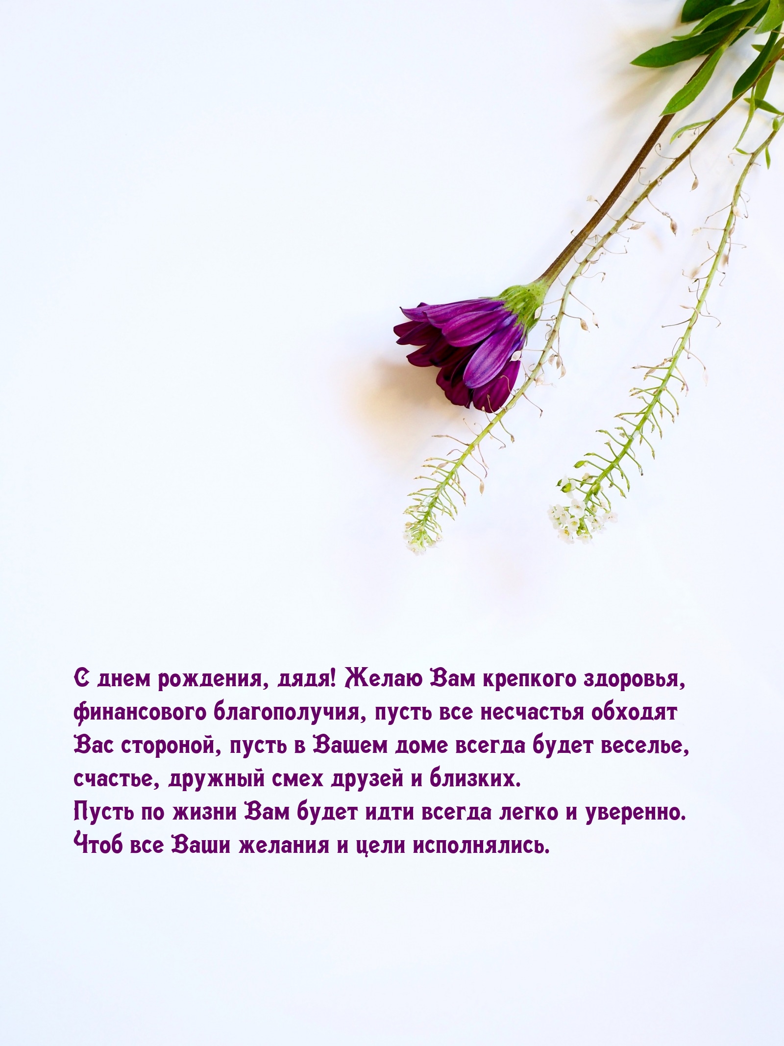 С днем рождения, дядя! Желаю Вам крепкого здоровья