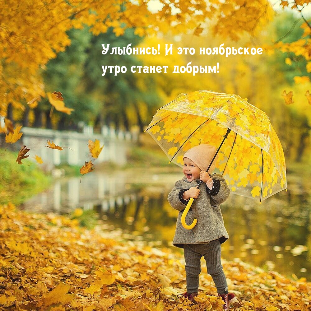 Улыбнись! И это ноябрьское утро станет добрым!
