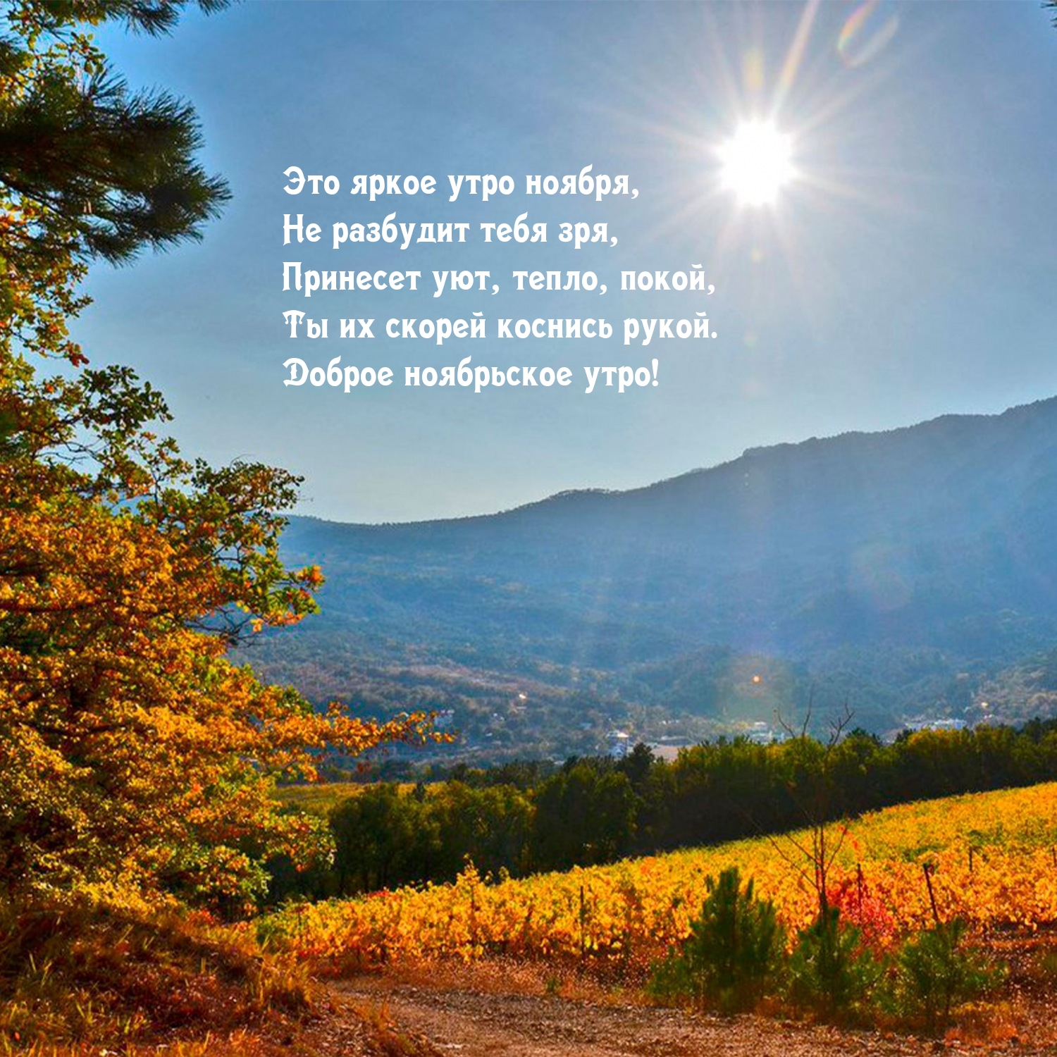 Это яркое утро ноября, не разбудит тебя зря