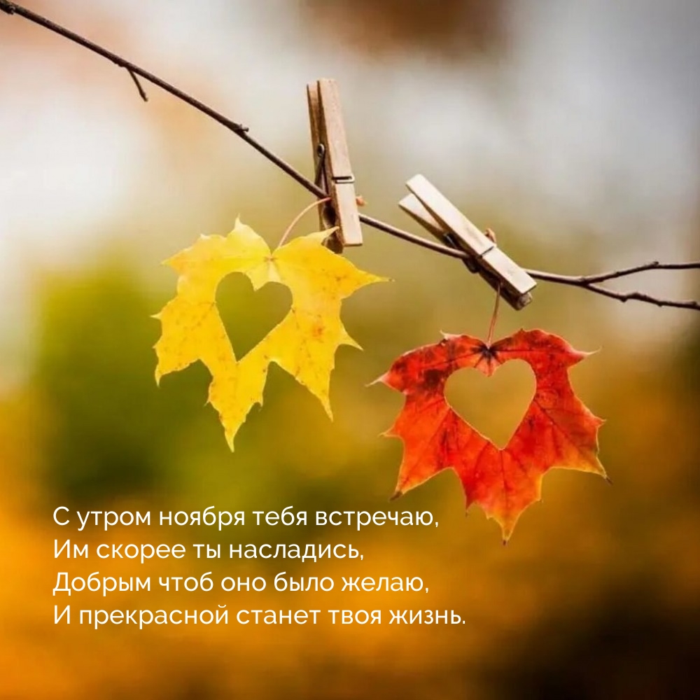 С утром ноября тебя встречаю, им скорее ты насладись