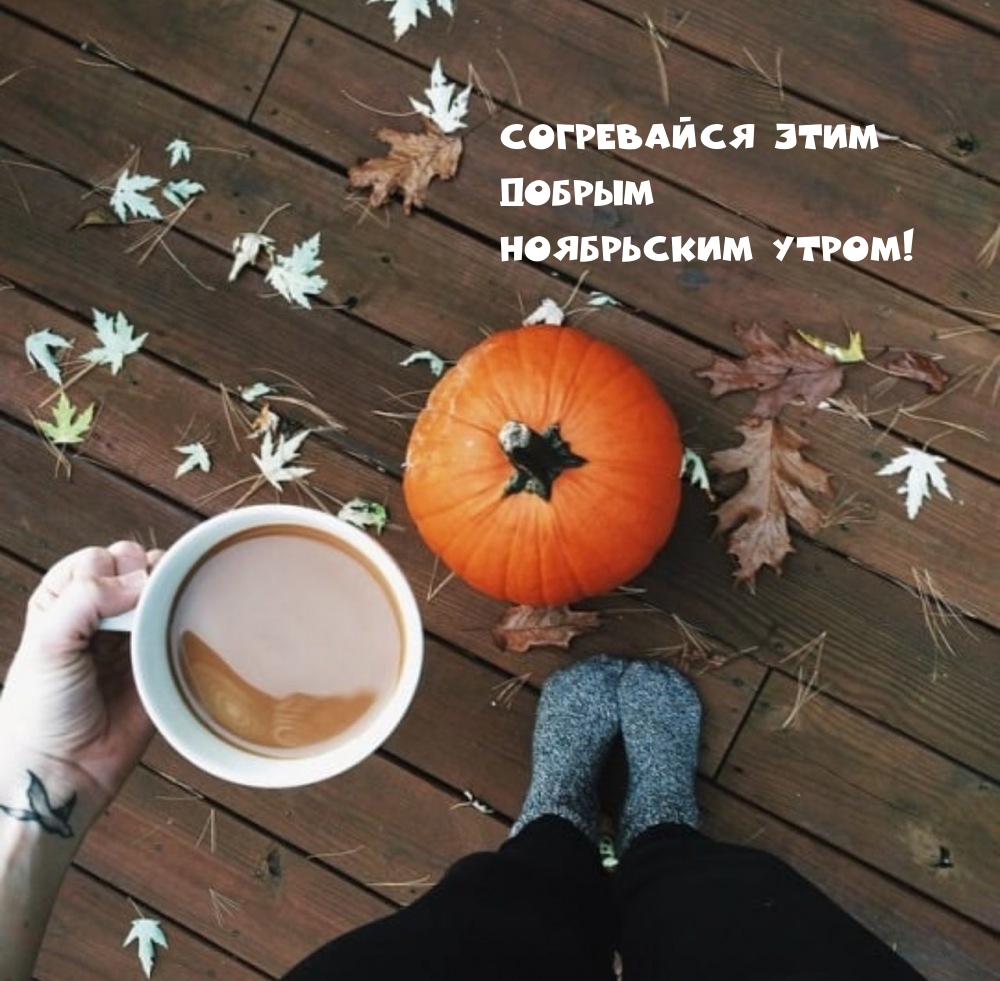 Согревайся этим добрым ноябрьским утром! 