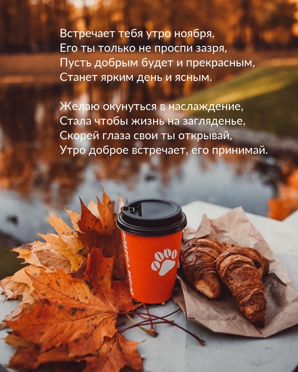 Встречает тебя утро ноября, его ты только не проспи зазря