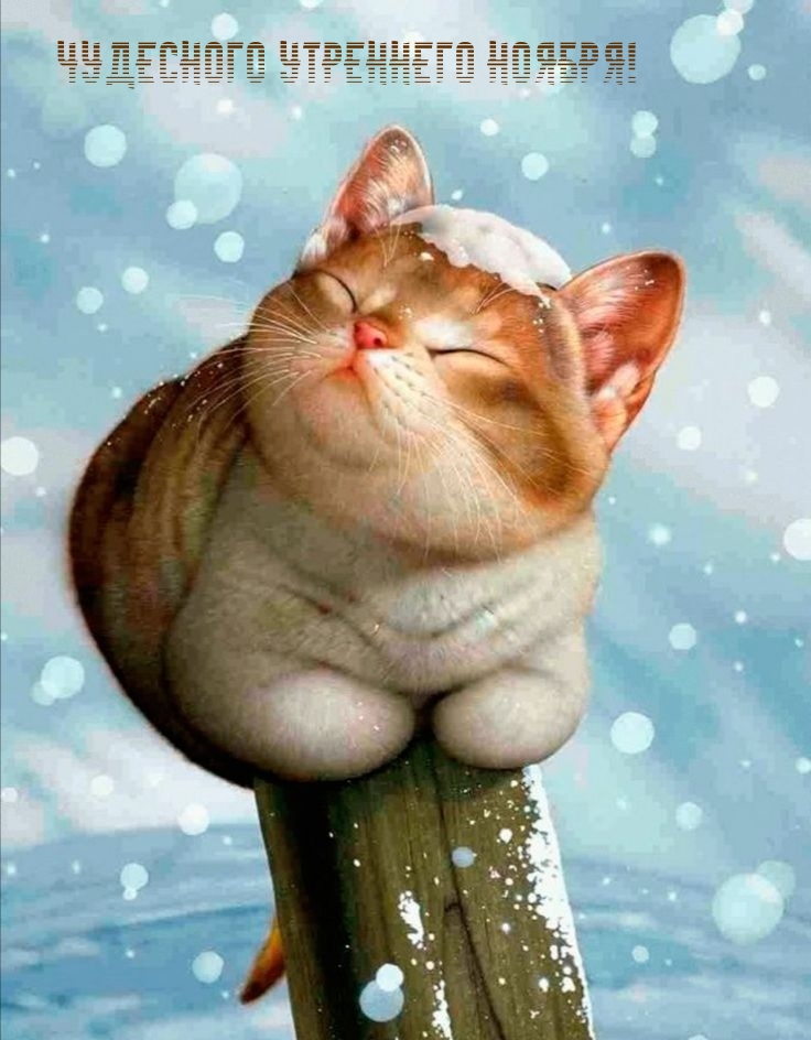 Чудесного утреннего ноября!