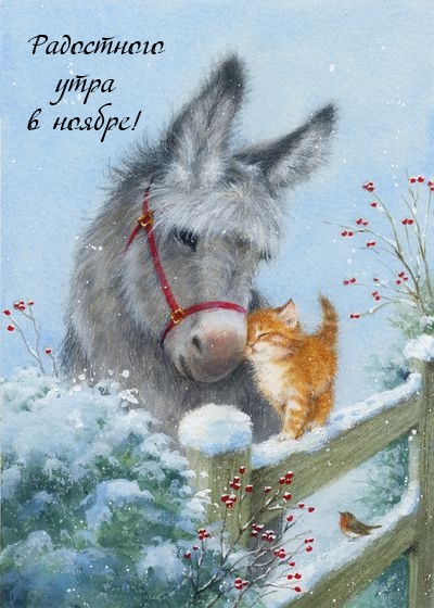 Радостного утра в ноябре!