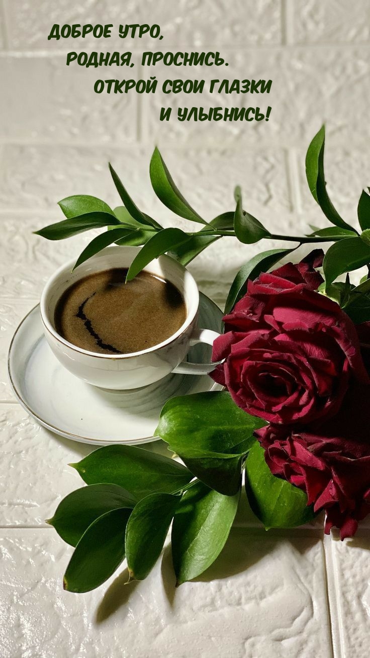 Доброе утро, родная, проснись. Открой свои глазки и улыбнись!