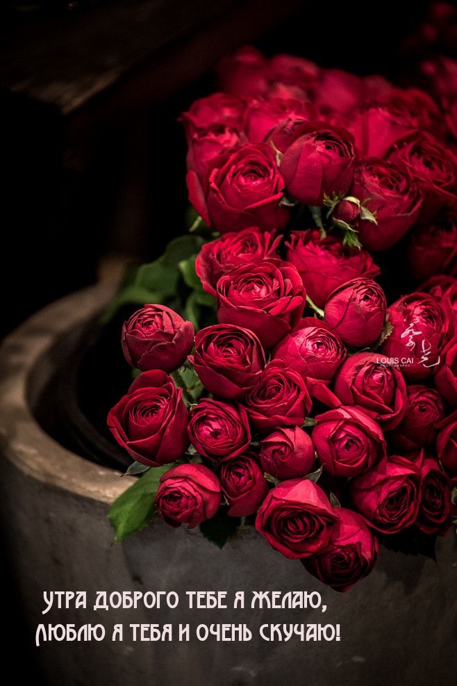 Утра доброго тебе я желаю, люблю я тебя и очень скучаю!