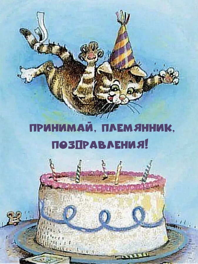 Принимай, племянник, поздравления! 