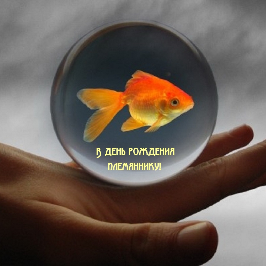 В день рождения племяннику!
