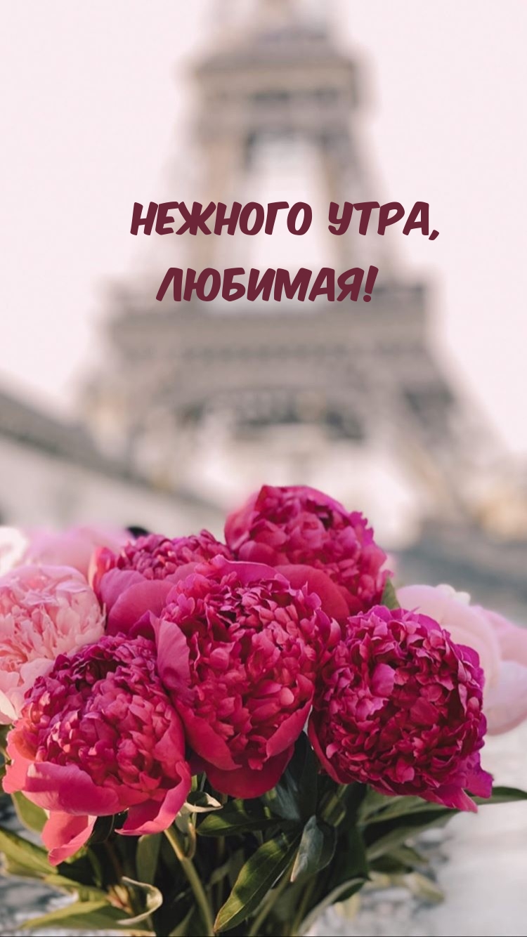 Нежного утра, Любимая!