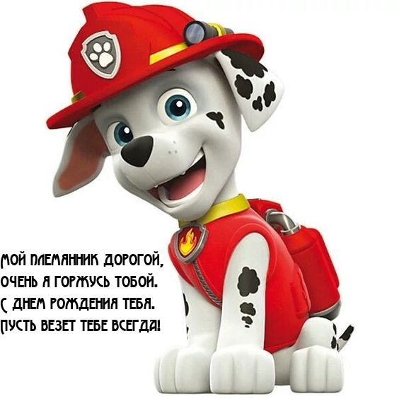 Мой племянник дорогой, очень я горжусь тобой.