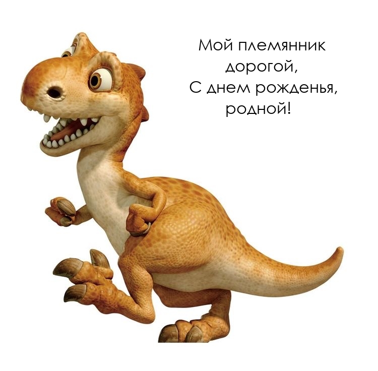 Мой племянник дорогой, с днем рожденья, родной!