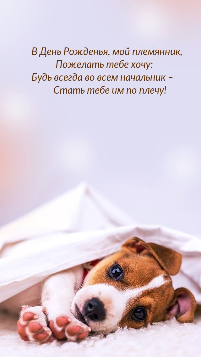 В День Рожденья, мой племянник Будь всегда во всем начальник 