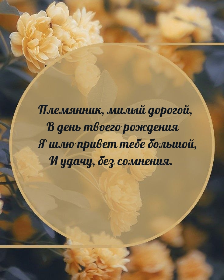 Племянник, в день твоего рождения я шлю привет большой