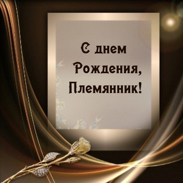 С днем Рождения, Племянник!