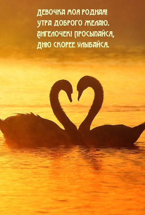 Девочка моя родная! Утра доброго желаю.