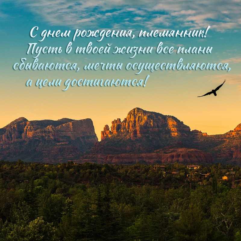 С днем рождения, племянник! Пусть все планы сбываются