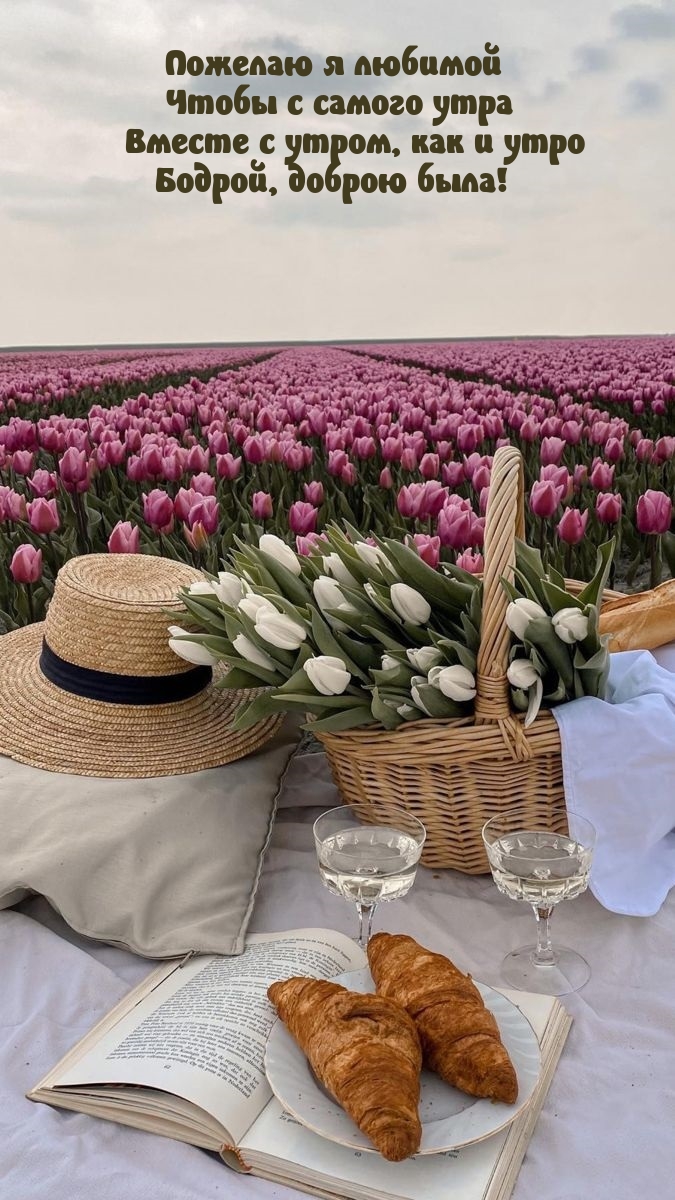 Вместе с утром, как и утро бодрой, доброю была!