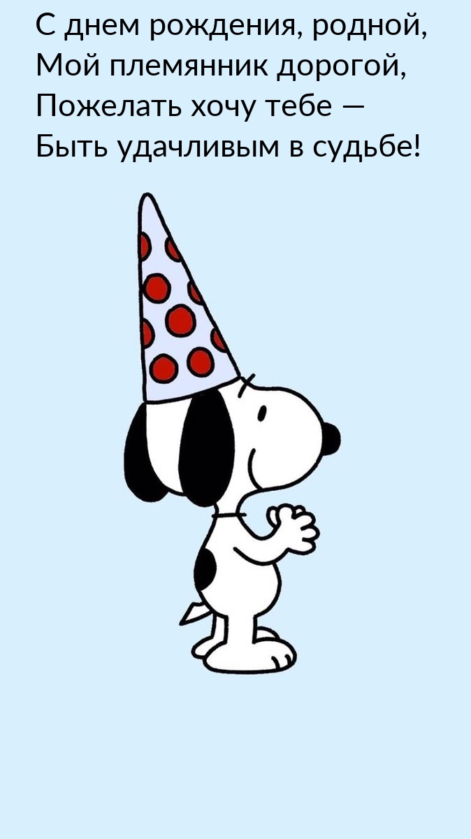 С днем рождения, родной, мой племянник дорогой