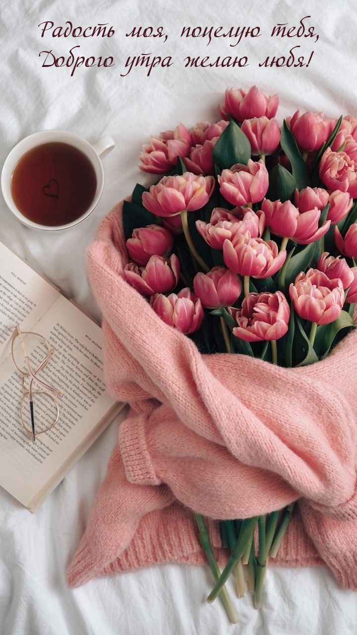 Радость моя, поцелую тебя, Доброго утра желаю любя!