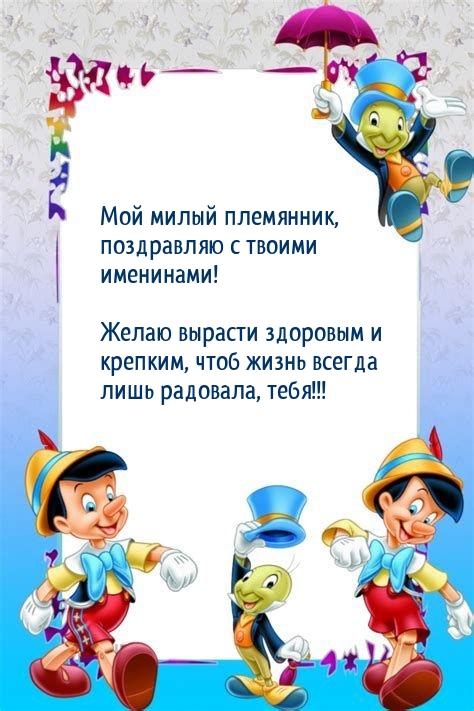 Мой милый племянник, поздравляю с твоими именинами!