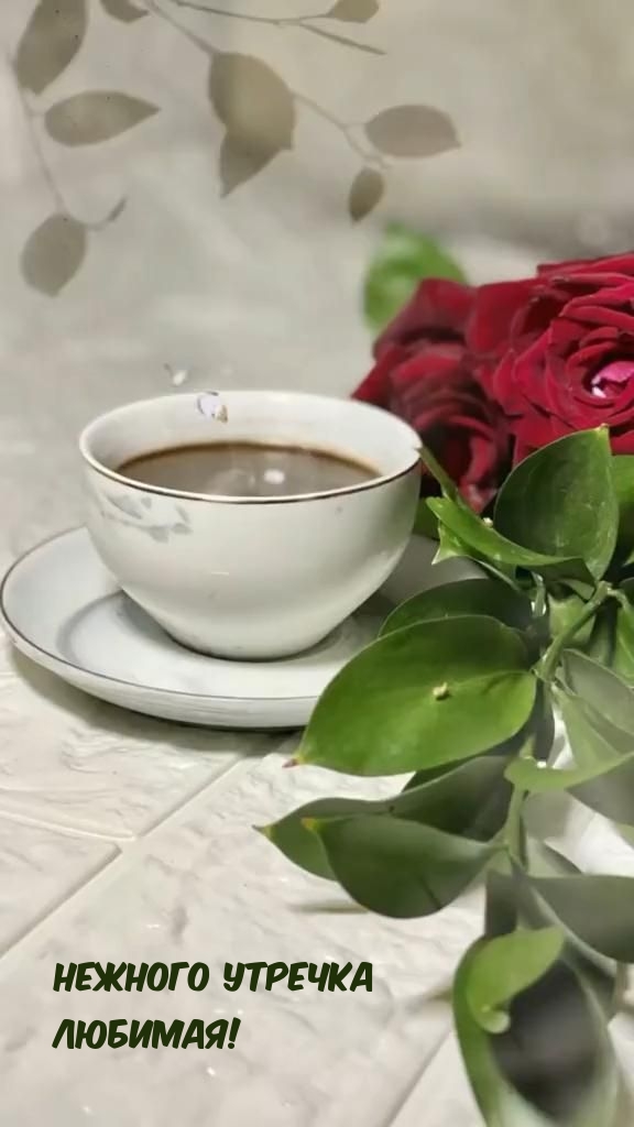 Нежного утречка Любимая!