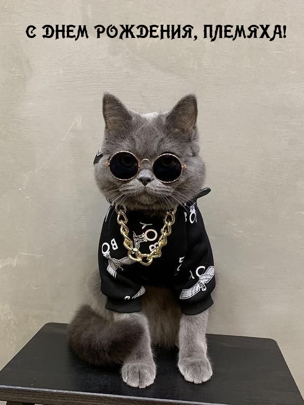 С днем рождения, племяха!