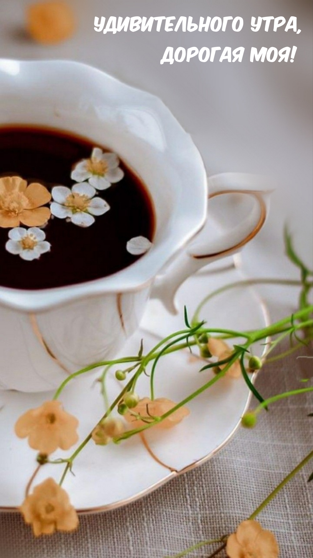 Удивительного утра, Дорогая моя! 