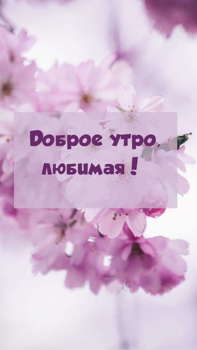 Доброе утро, любимая!