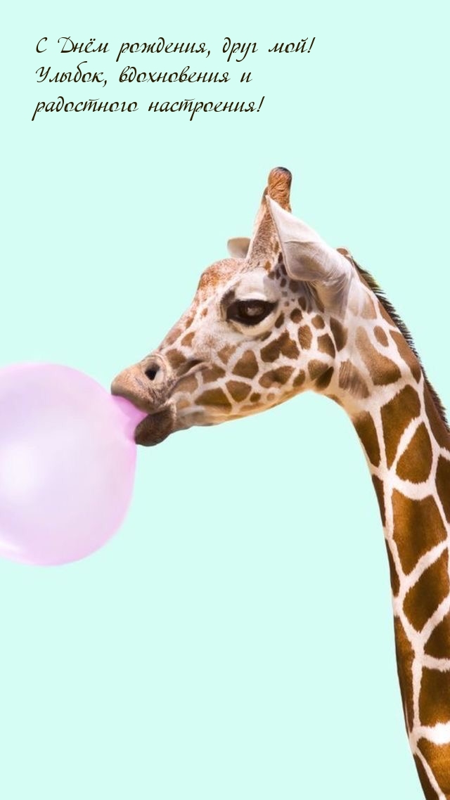 С Днём рождения, друг мой! Улыбок, вдохновения