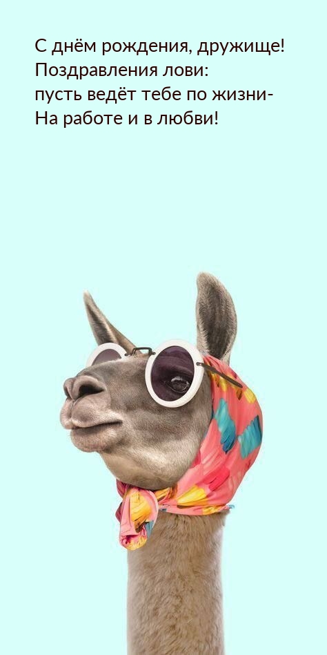С днём рождения, дружище! Поздравления лови