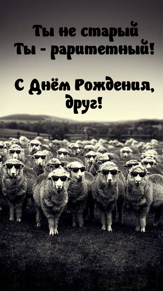 Ты не старый Ты - раритетный! С Днём Рождения, друг!