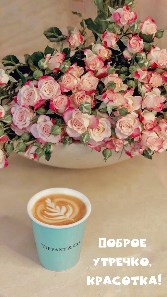 Доброе Утречко, Красотка!