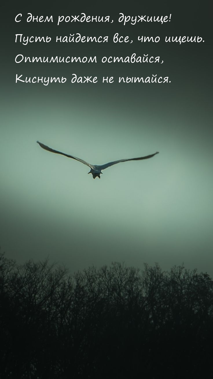 С днем рождения, дружище! Пусть найдется все, что ищешь.