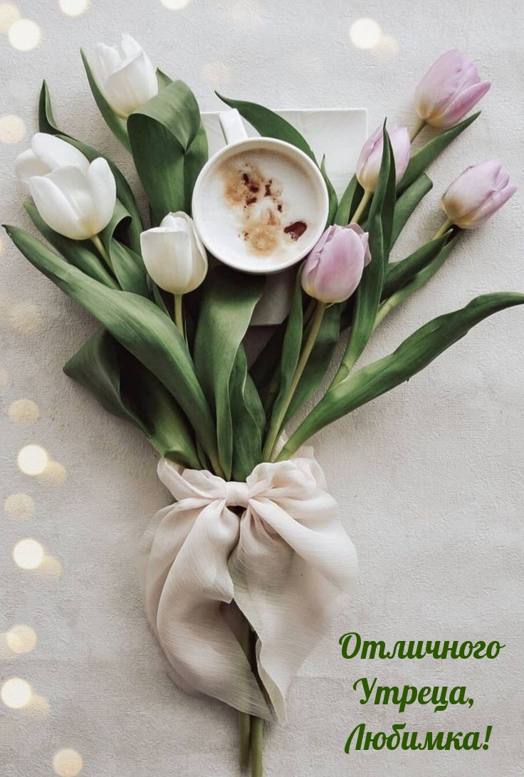 Отличного Утреца, Любимка!
