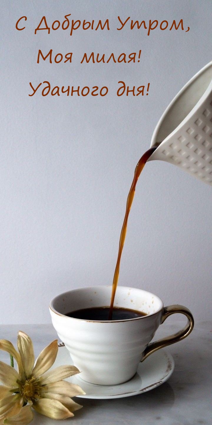 С Добрым Утром, Моя милая! Удачного дня! 