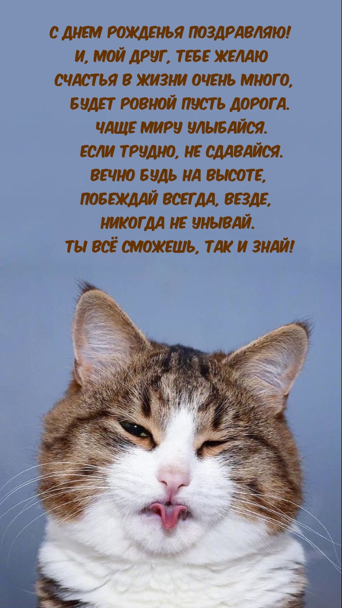 Тебе желаю счастья в жизни очень много