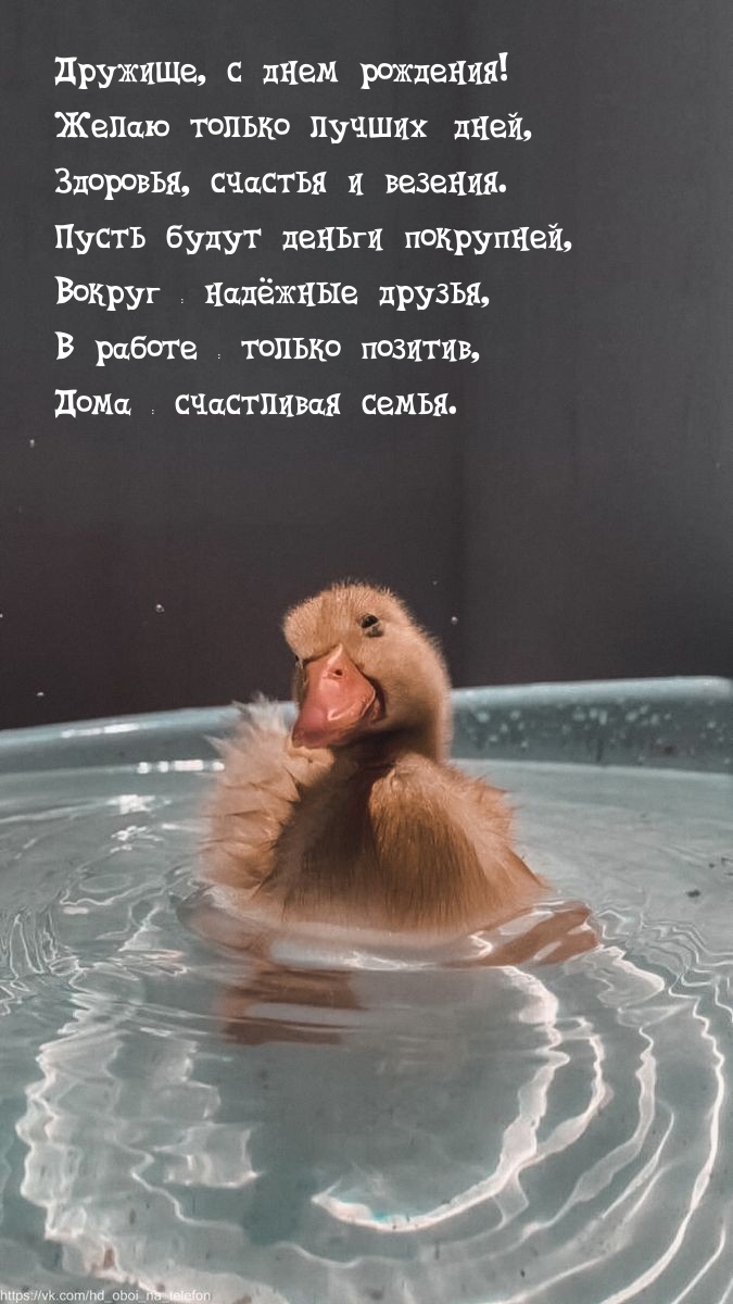 Дружище, с днем рождения! Желаю только лучших дней