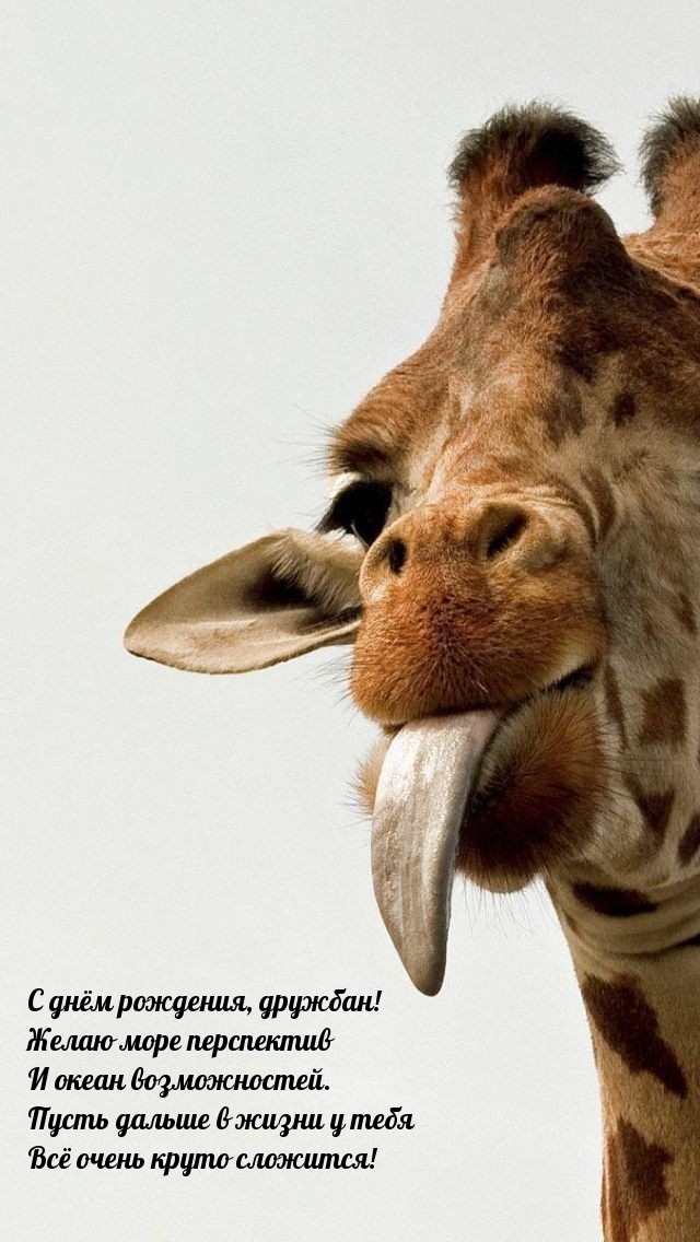 С днём рождения, дружбан! Желаю море перспектив