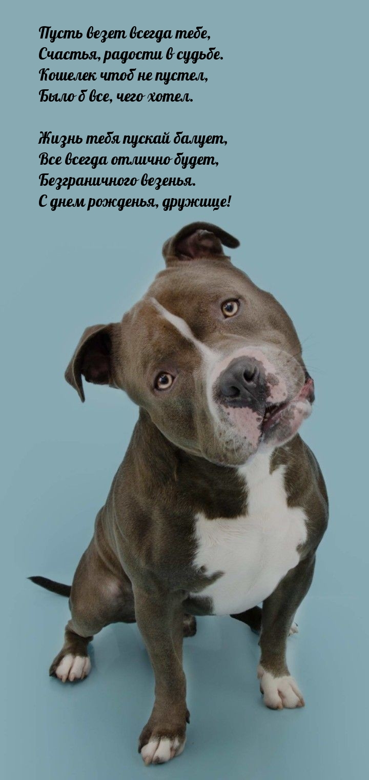 Безграничного везенья. С днем рожденья, дружище!