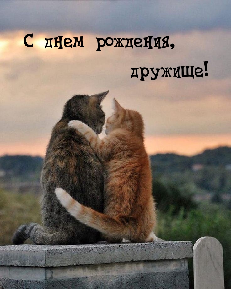 С днем рождения, дружище!