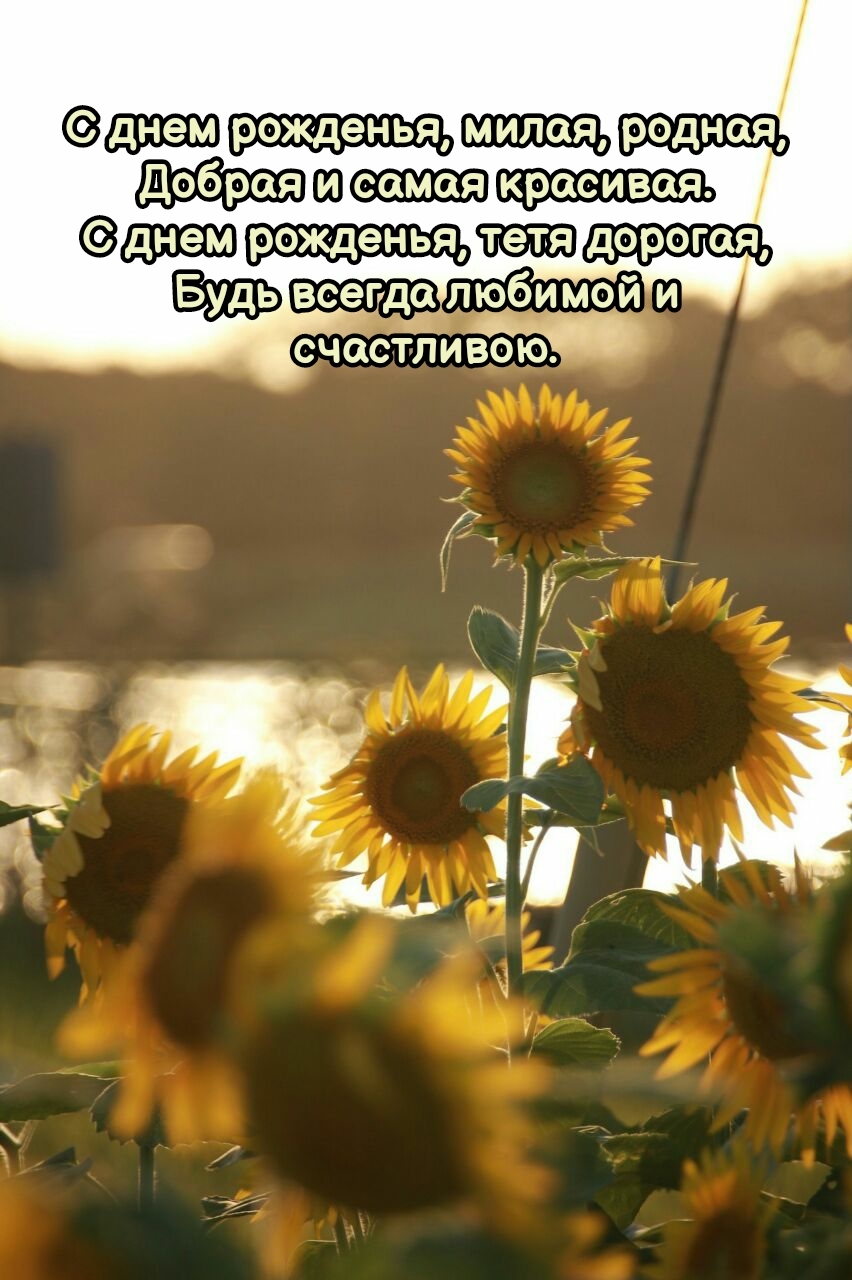 Добрая и самая красивая. С днем рожденья, тетя дорогая