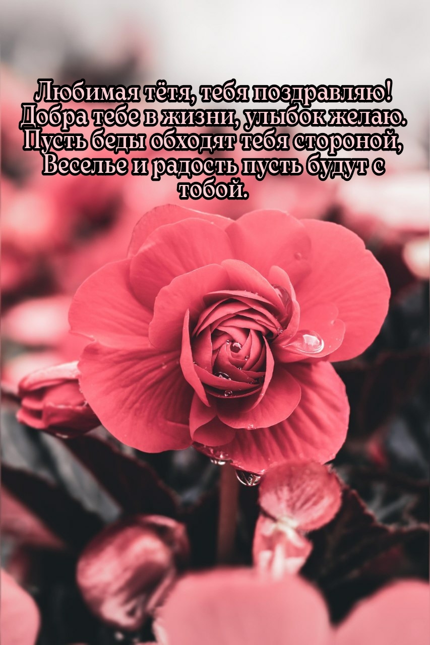 Любимая тётя, тебя поздравляю! Добра тебе в жизни, улыбок желаю.