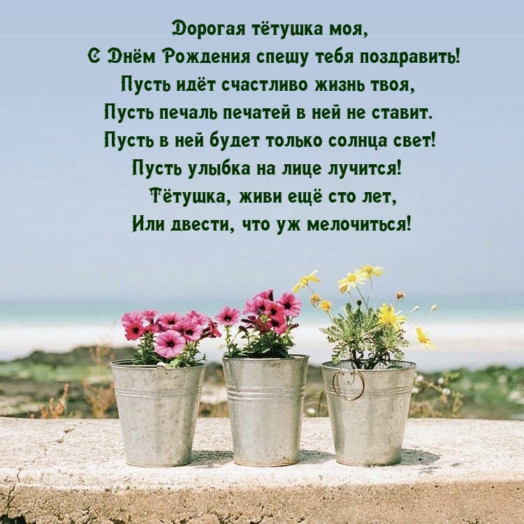 Дорогая тётушка моя, с Днём Рождения спешу тебя поздравить!