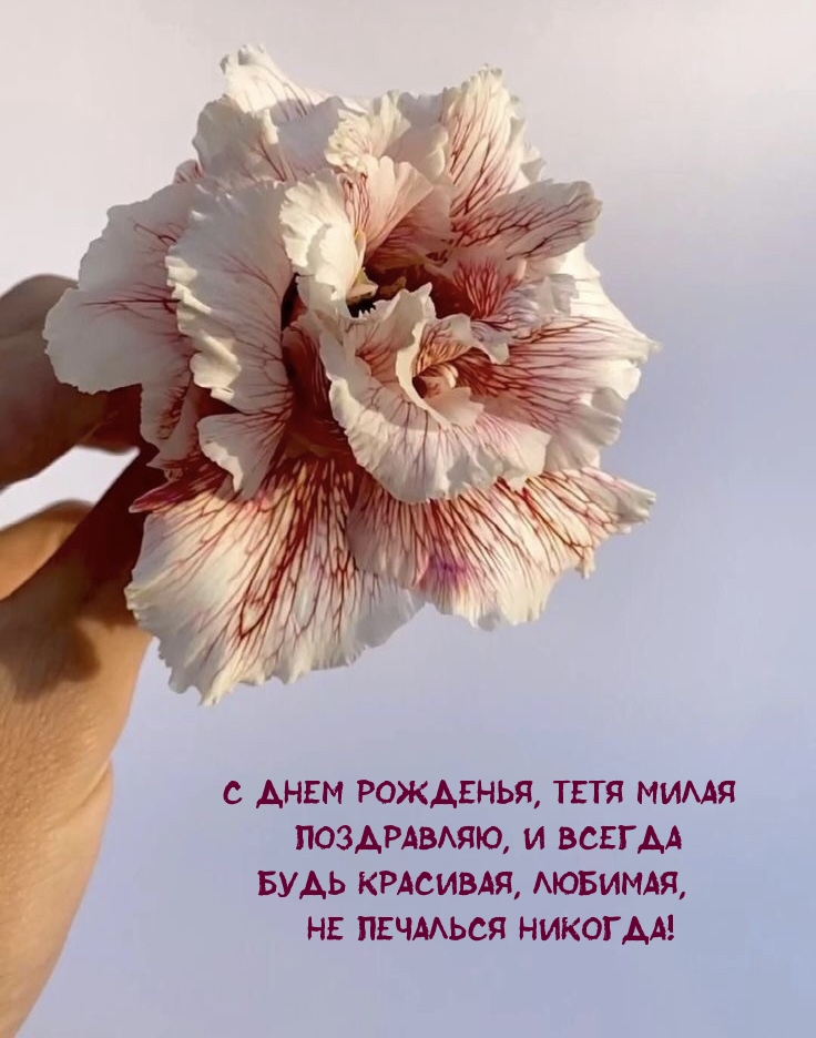 С Днем рожденья, тетя милая поздравляю