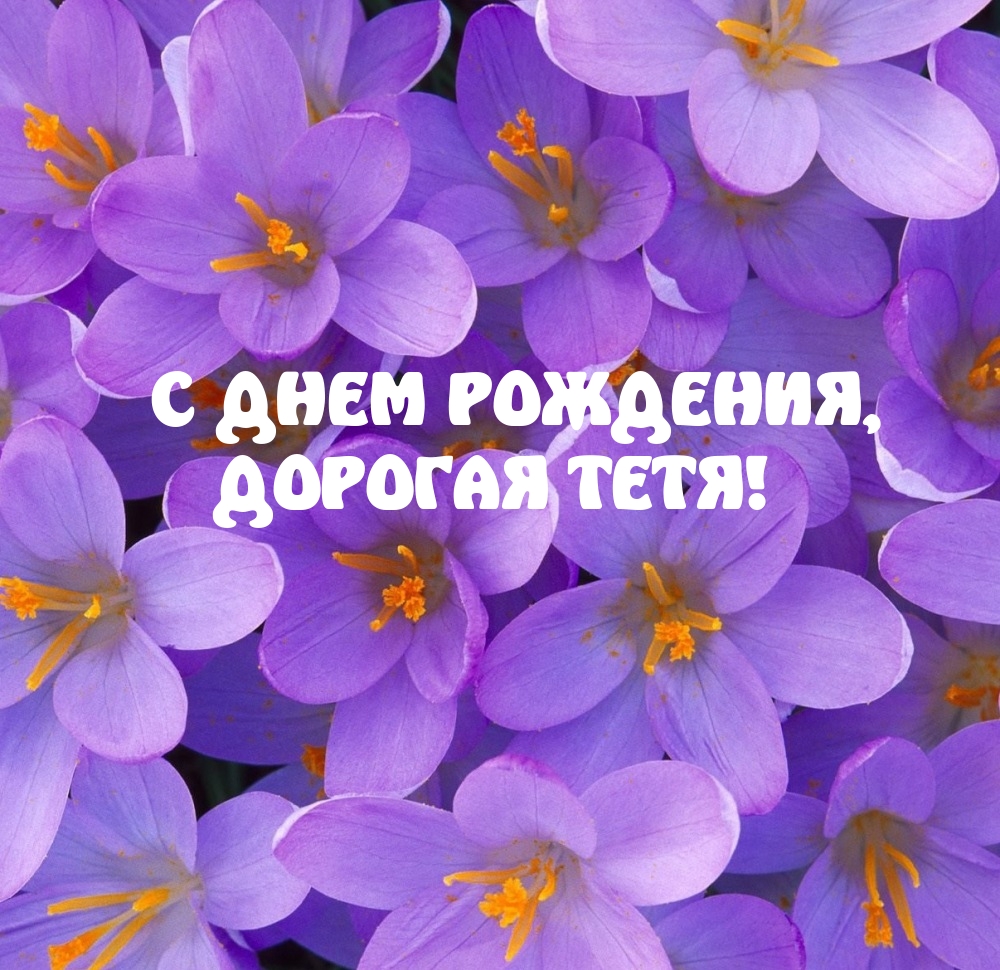 С Днем Рождения, дорогая тетя!