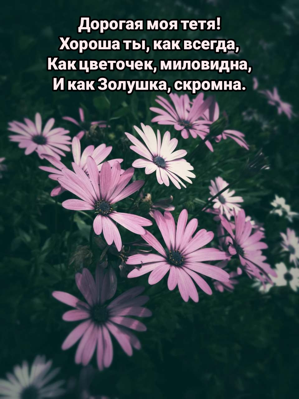 Дорогая моя тетя! Хороша ты, как всегда