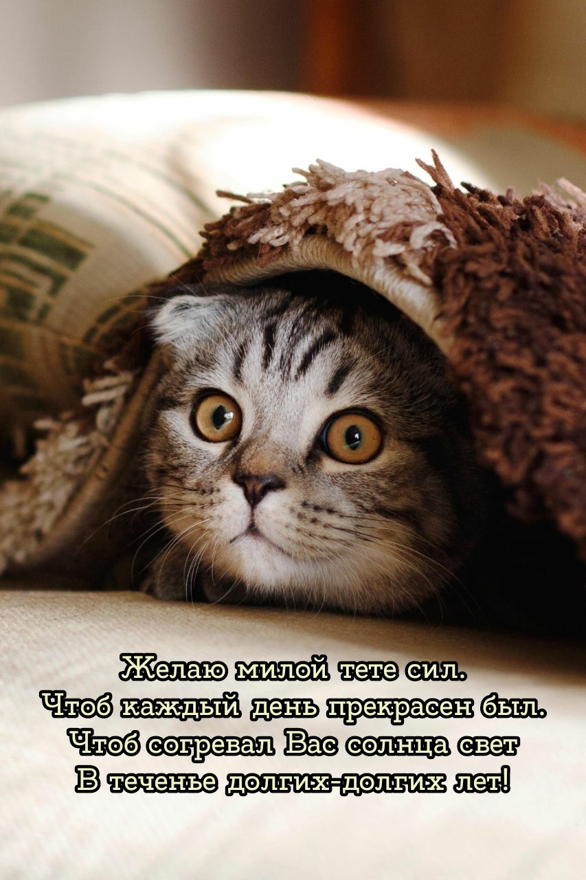Желаю милой тете сил. Чтоб каждый день прекрасен был.