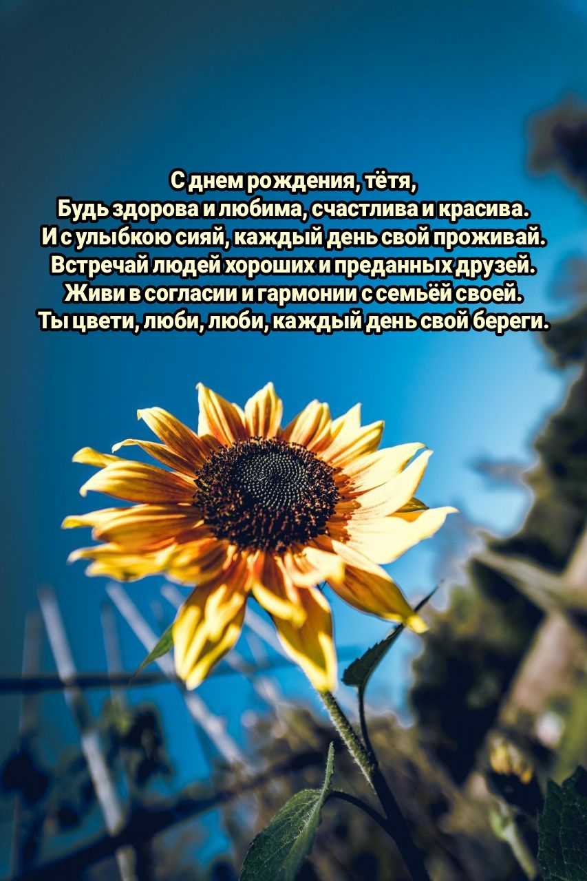 С днем рождения, тётя, Будь здорова и любима, счастлива и красива.