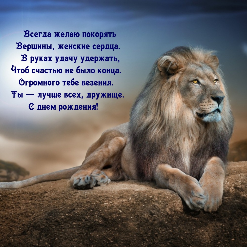 Всегда желаю покорять вершины, женские сердца.